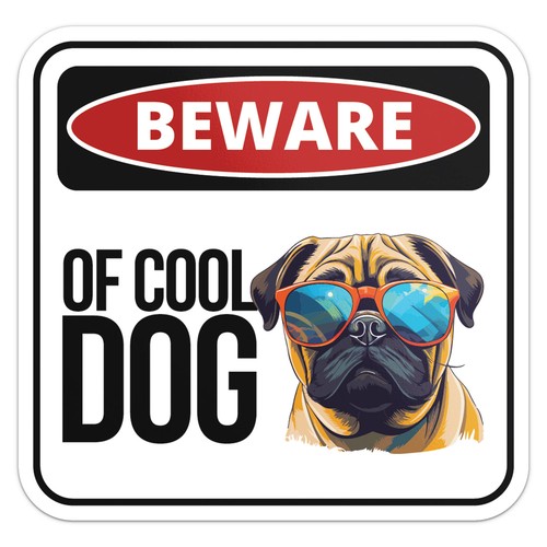 Cool pug dog beware - dog,