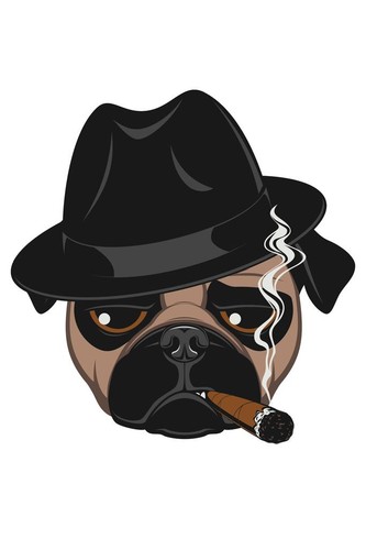 Gangster pug smoking cigar - gangster,