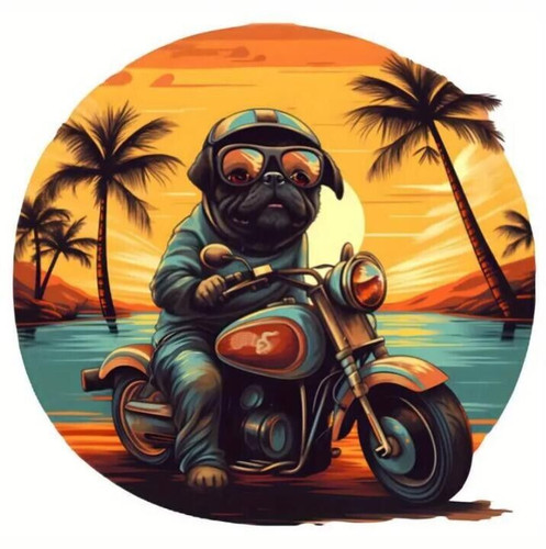 Super cool pug dog riding - cool, a