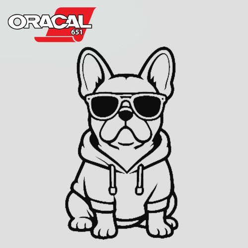 Cool pug wearing hoodie - cool, dog