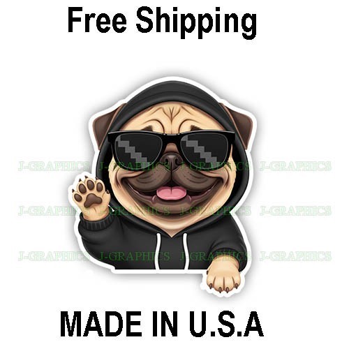 Pug cool dog - dog, peeker