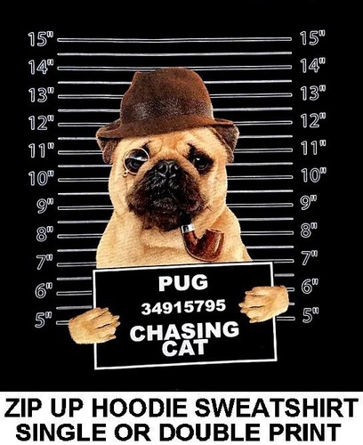 Very cool pug mug shot - shot, funny