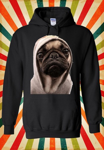 Pug life dog grumpy - life, animal