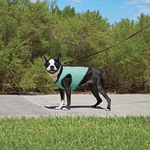 Dog cooling vest good2go - dog,