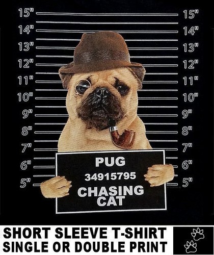 Very cool pug mug shot - pug, funny