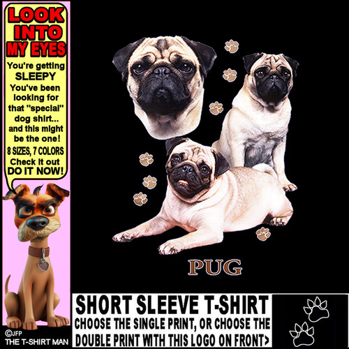 Beautiful pug custom show dog - beautiful,