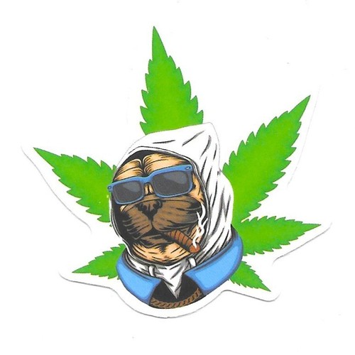 Cool pug smoking weed vinyl - cool,