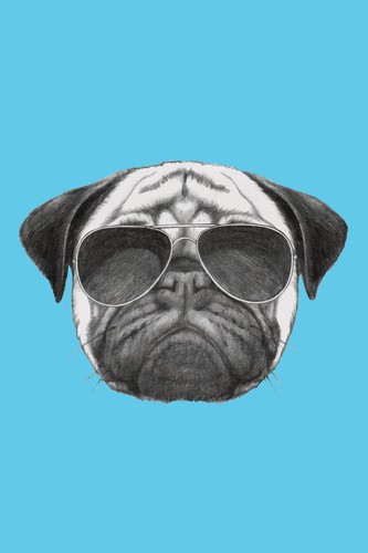 Cool pug dog with sunglasses - pug,