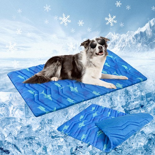 Beautyzoo shark blue cooling - l,