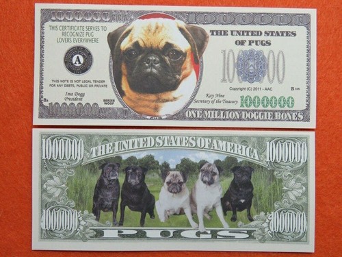 Pugs kay nine dog - nine,
